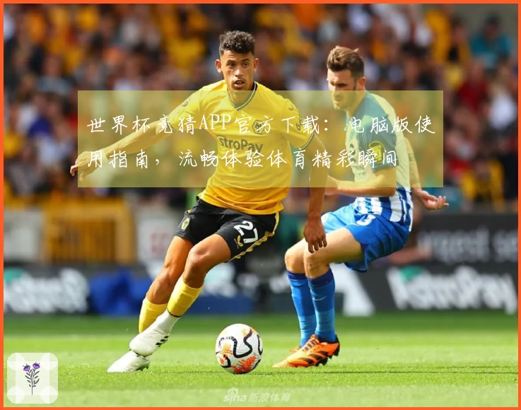 世界杯竞猜APP官方下载:电脑版使用指南,流畅体验体育精彩瞬间