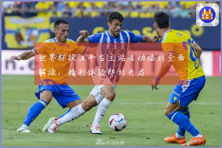 世界杯投注平台主站活动福利全面解读,精彩体验即刻开启