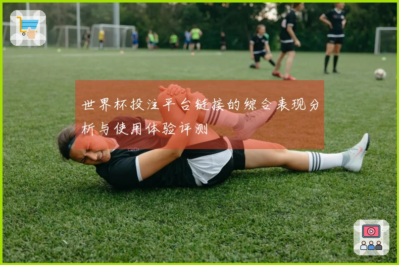 世界杯投注平台链接的综合表现分析与使用体验评测