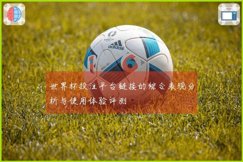 世界杯投注平台链接的综合表现分析与使用体验评测